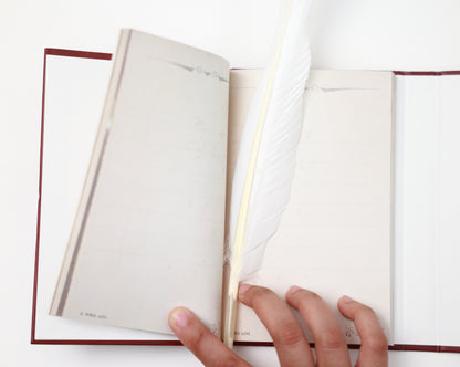 Griffindor Diary - Harry Potter
