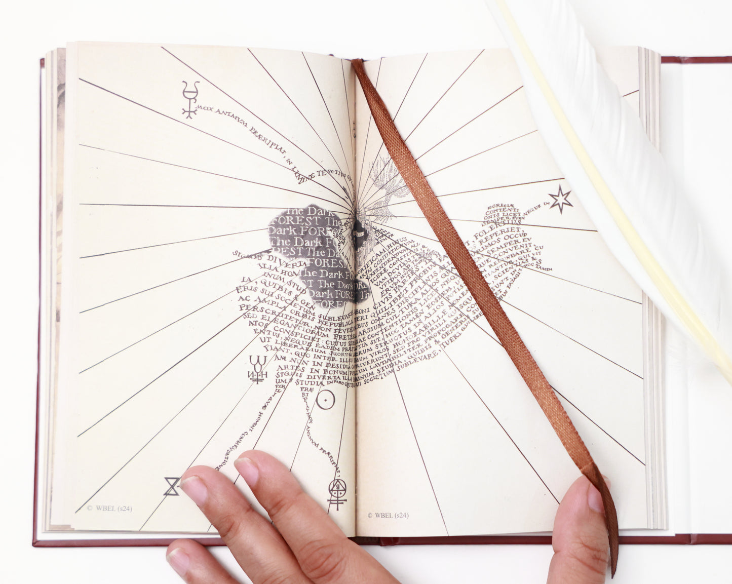 Griffindor Diary - Harry Potter